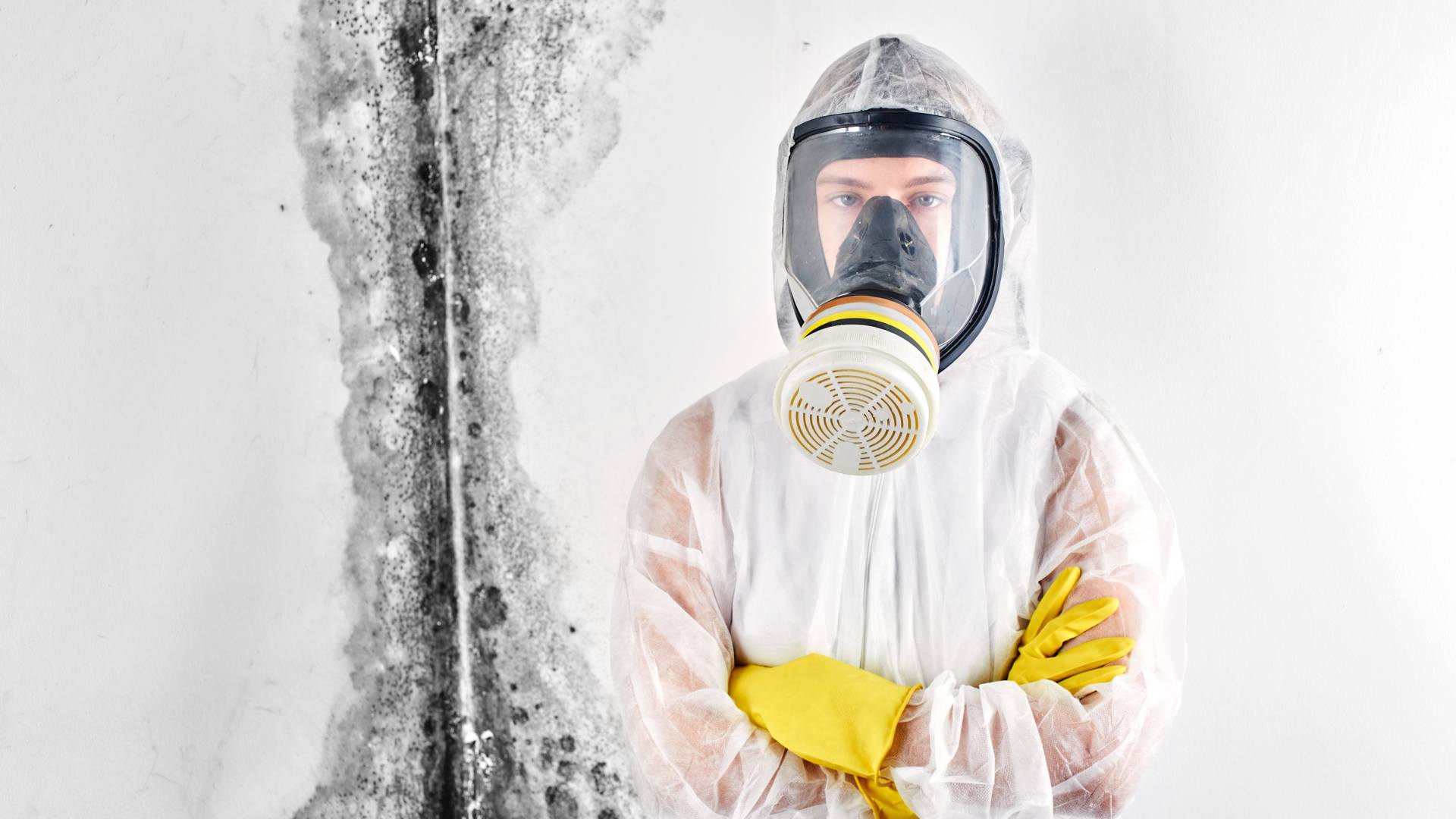 Mold inspector checking a Vancouver home