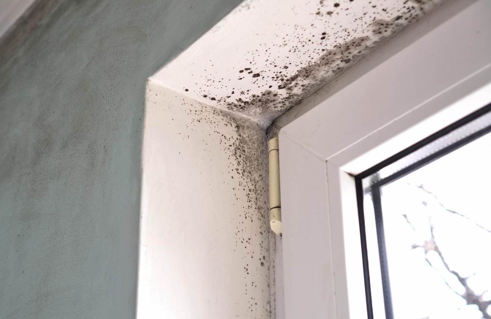 Mold near a Vancouver door corner