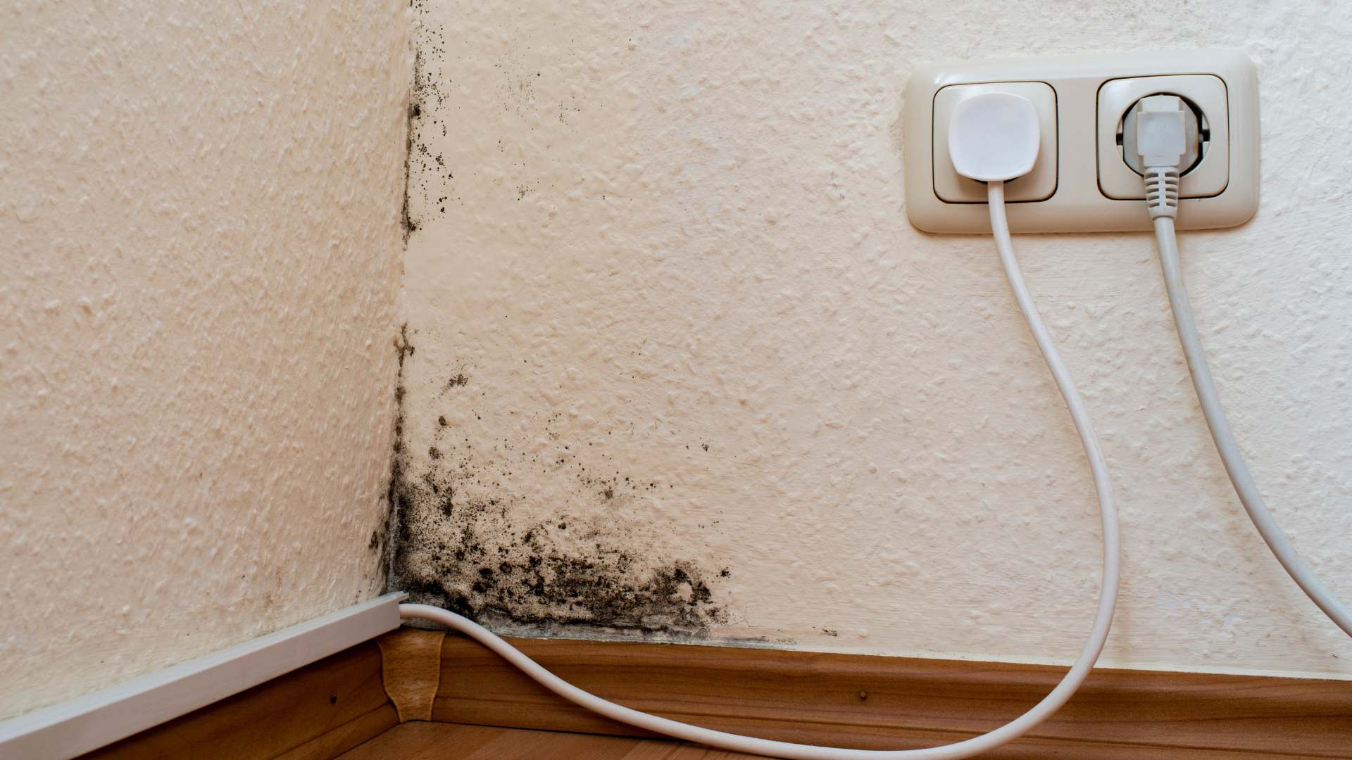 Corner mold testing in Vancouver