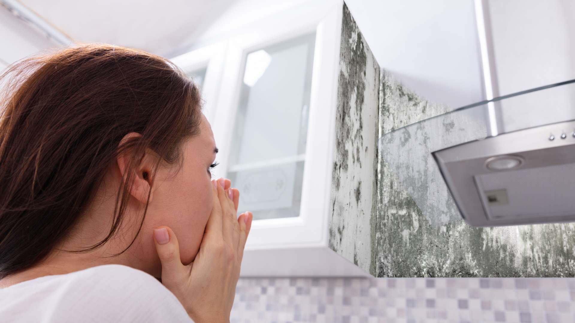 Mold in a Vancouver kitchen
