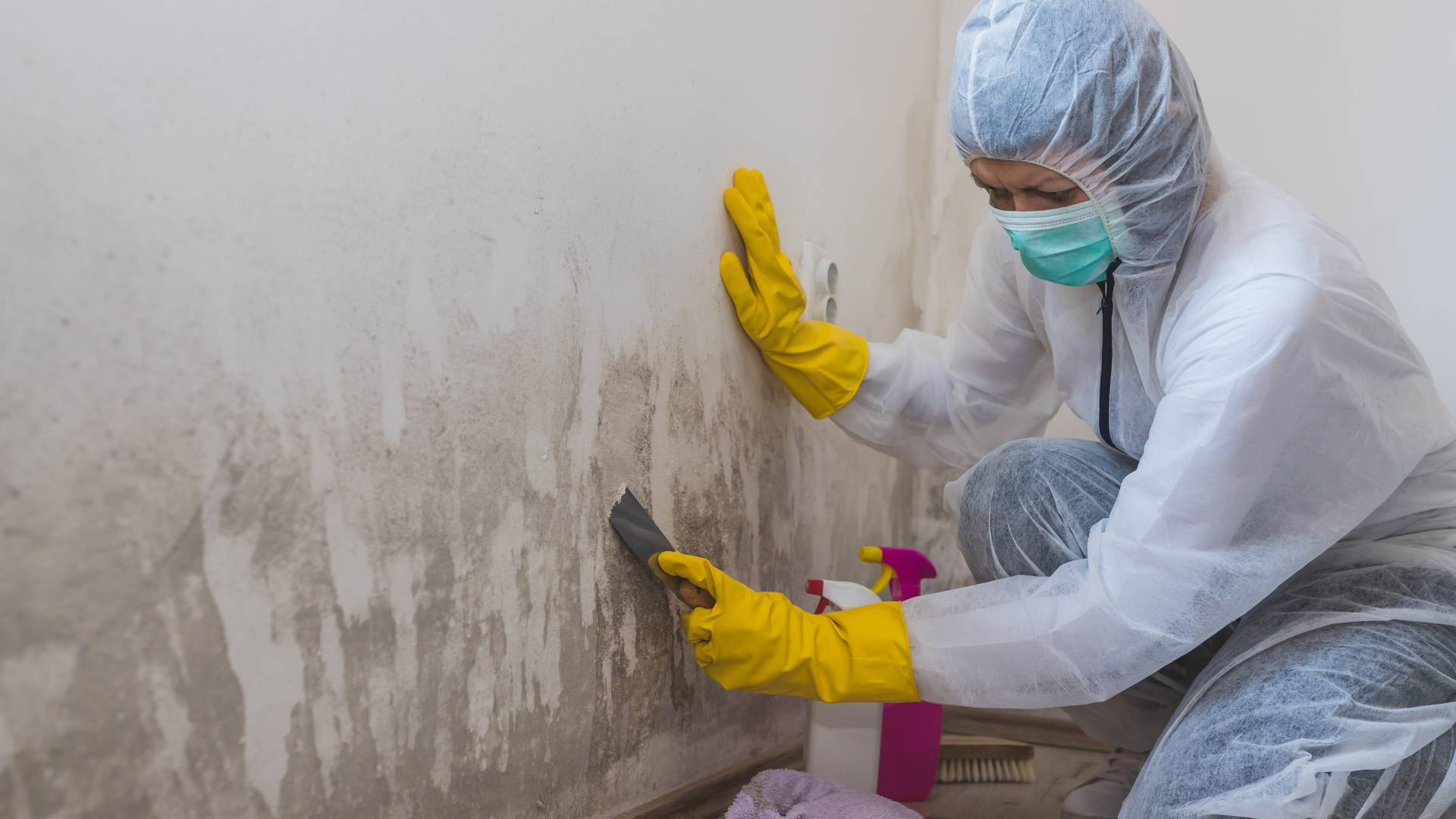 Mold remediation preparation